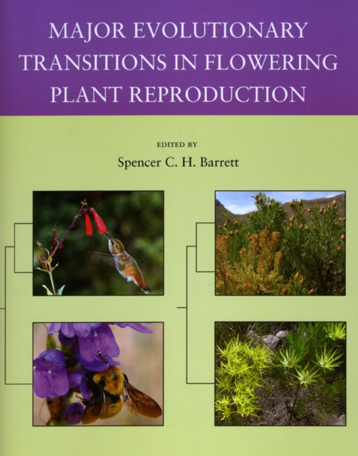 Major Evolutionary Transitions in Flowering Plant Reproduction, Paperback / softback Book