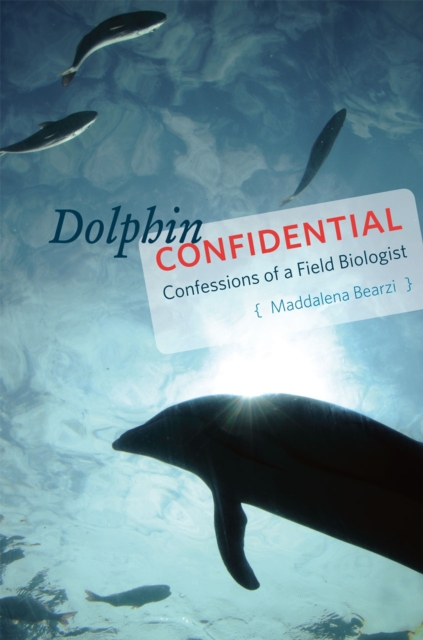 Dolphin Confidential : Confessions of a Field Biologist, Hardback Book