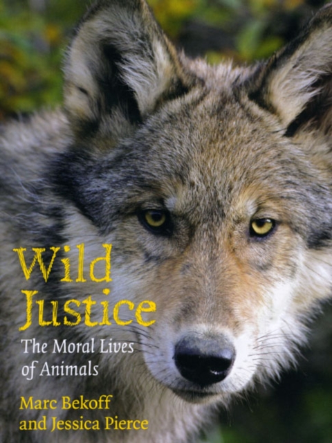 Wild Justice : The Moral Lives of Animals, Hardback Book