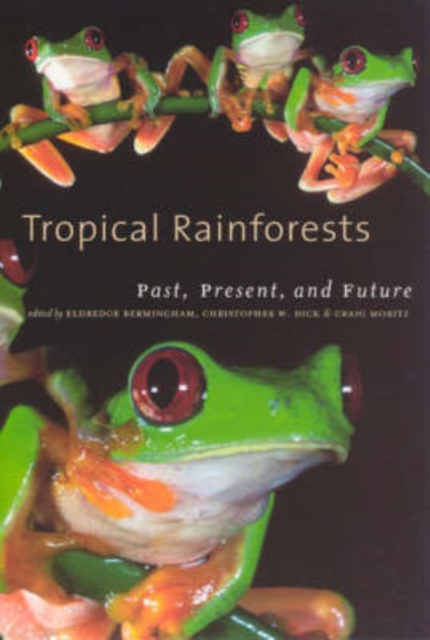Tropical Rainforests : Past, Present, and Future, Paperback / softback Book