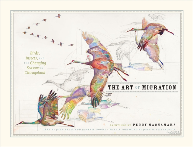 The Art of Migration : Birds, Insects, and the Changing Seasons in Chicagoland, Hardback Book