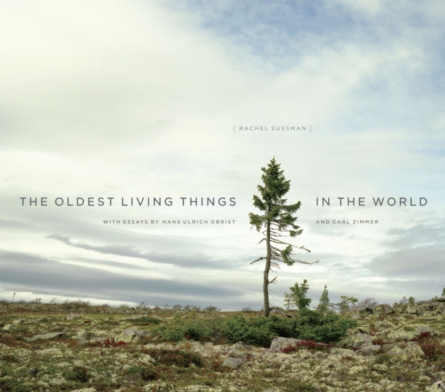 The Oldest Living Things in the World, Hardback Book