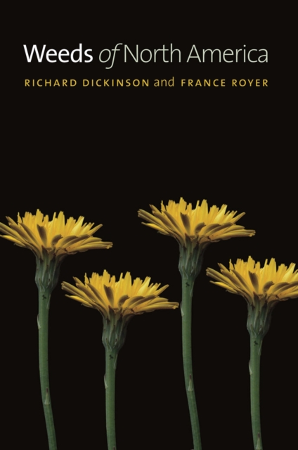 Weeds of North America, Paperback / softback Book