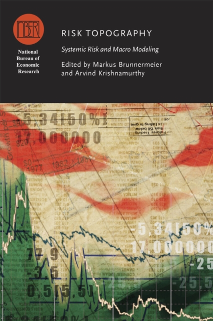 Risk Topography : Systemic Risk and Macro Modeling, Hardback Book