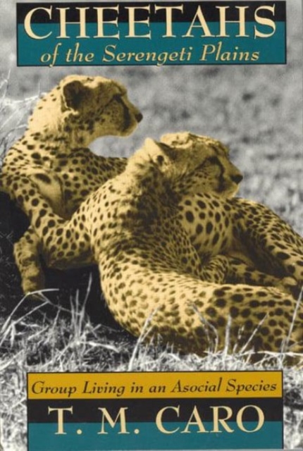 Cheetahs of the Serengeti Plains : Group Living in an Asocial Species, Hardback Book