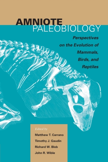 Amniote Paleobiology : Perspectives on the Evolution of Mammals, Birds, and Reptiles, Paperback / softback Book