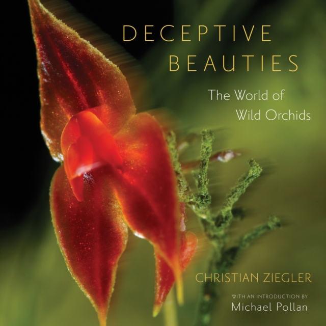 Deceptive Beauties : The World of Wild Orchids, PDF eBook