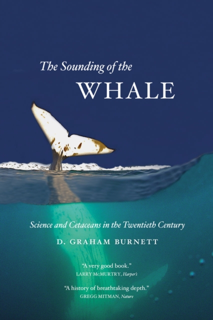 The Sounding of the Whale : Science and Cetaceans in the Twentieth Century, Paperback / softback Book