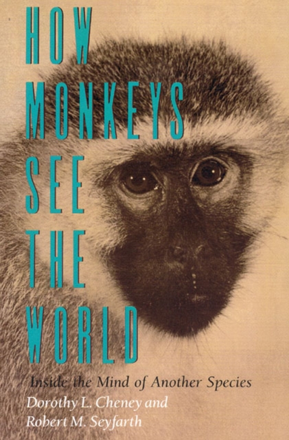How Monkeys See the World : Inside the Mind of Another Species, Paperback / softback Book