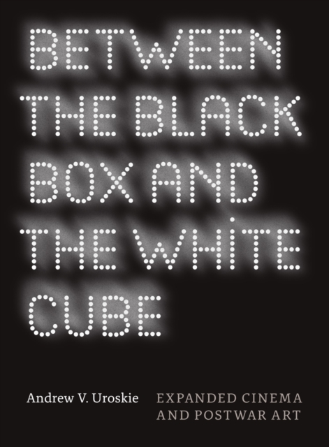 Between the Black Box and the White Cube : Expanded Cinema and Postwar Art, EPUB eBook