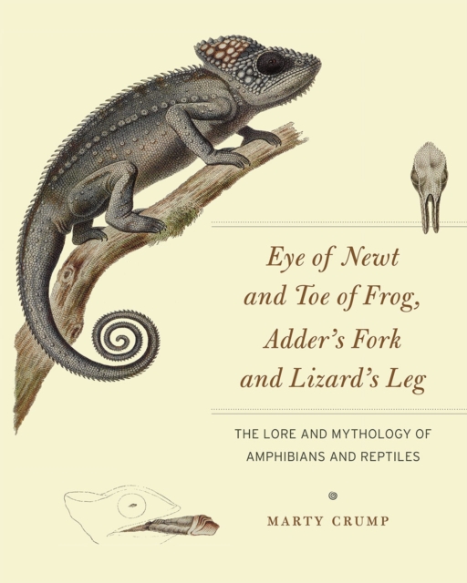 Eye of Newt and Toe of Frog, Adder's Fork and Lizard's Leg : The Lore and Mythology of Amphibians and Reptiles, Hardback Book
