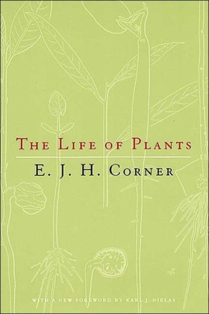 The Life of Plants, Paperback / softback Book