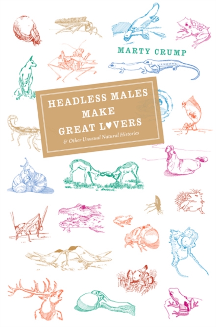 Headless Males Make Great Lovers : And Other Unusual Natural Histories, Hardback Book