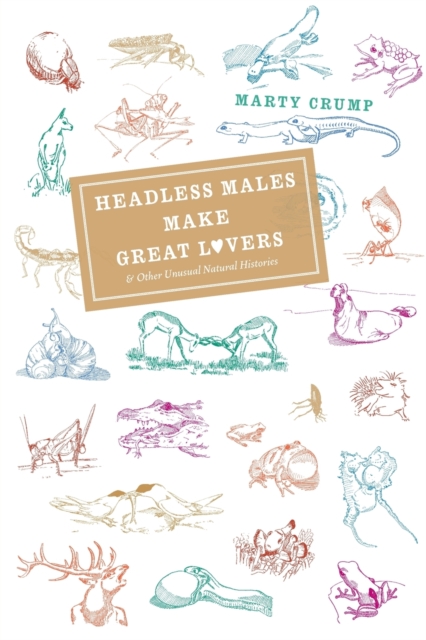 Headless Males Make Great Lovers : And Other Unusual Natural Histories, Paperback / softback Book