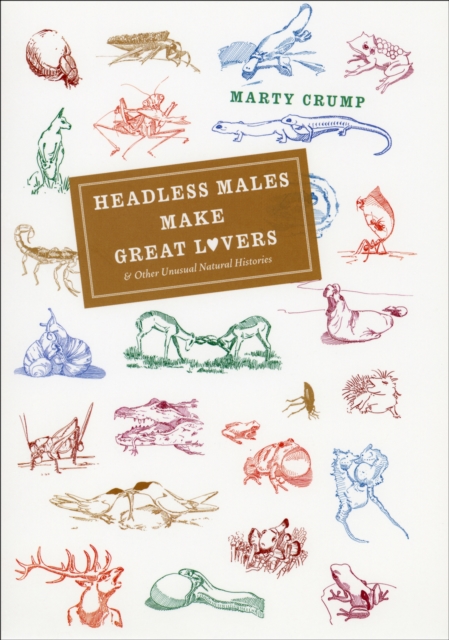 Headless Males Make Great Lovers : And Other Unusual Natural Histories, EPUB eBook