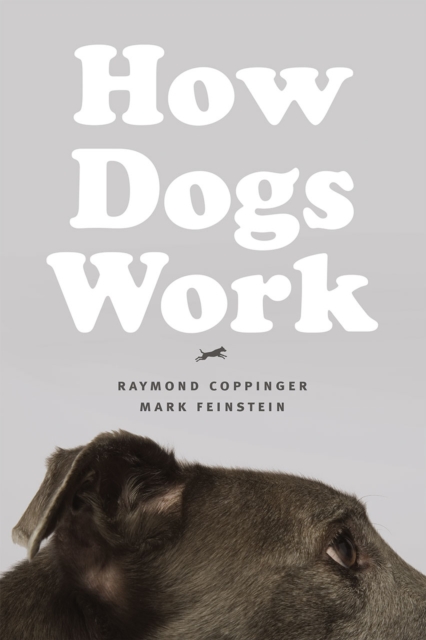 How Dogs Work, Hardback Book