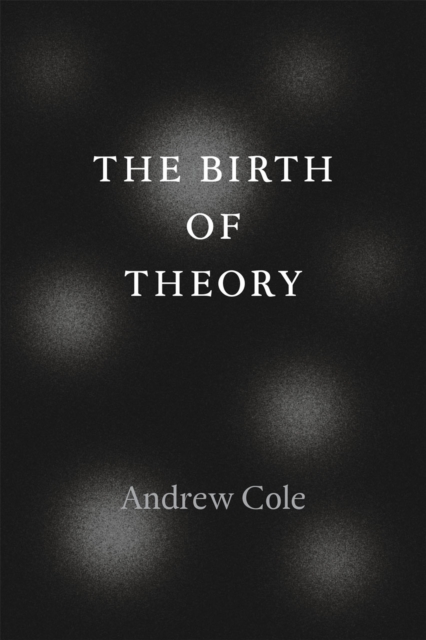 The Birth of Theory, Paperback / softback Book