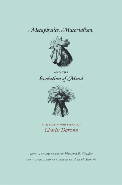 Metaphysics, Materialism, and the Evolution of Mind, Paperback / softback Book