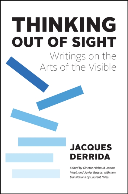 Thinking Out of Sight : Writings on the Arts of the Visible, Hardback Book