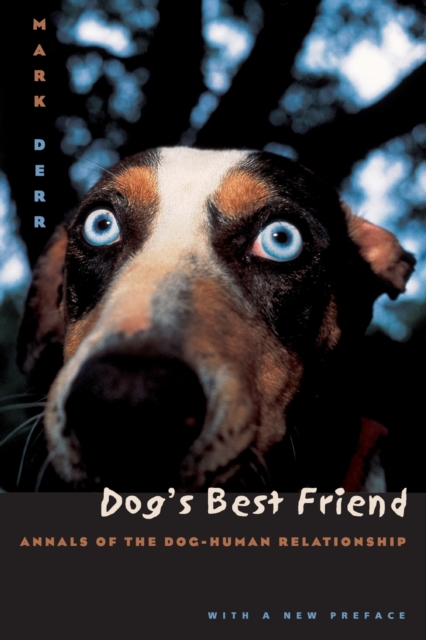 Dog's Best Friend : Annals of the Dog-Human Relationship, Paperback / softback Book
