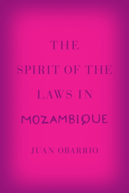 The Spirit of the Laws in Mozambique, EPUB eBook