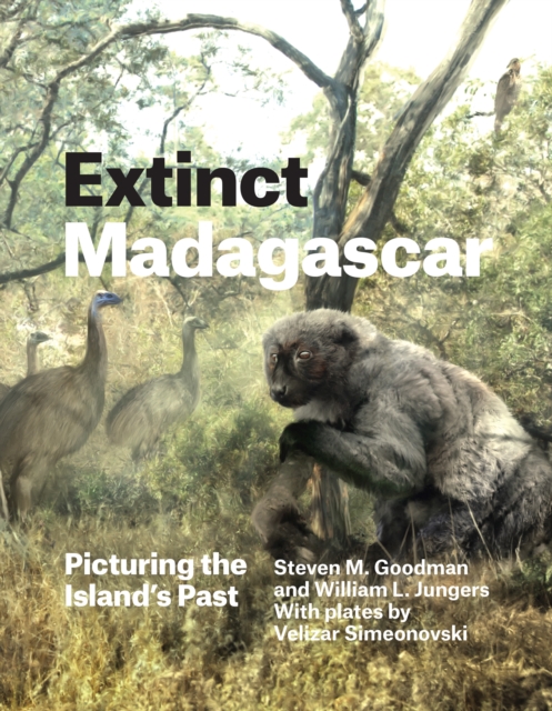 Extinct Madagascar : Picturing the Island's Past, EPUB eBook