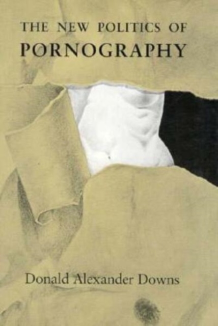 The New Politics of Pornography, Hardback Book
