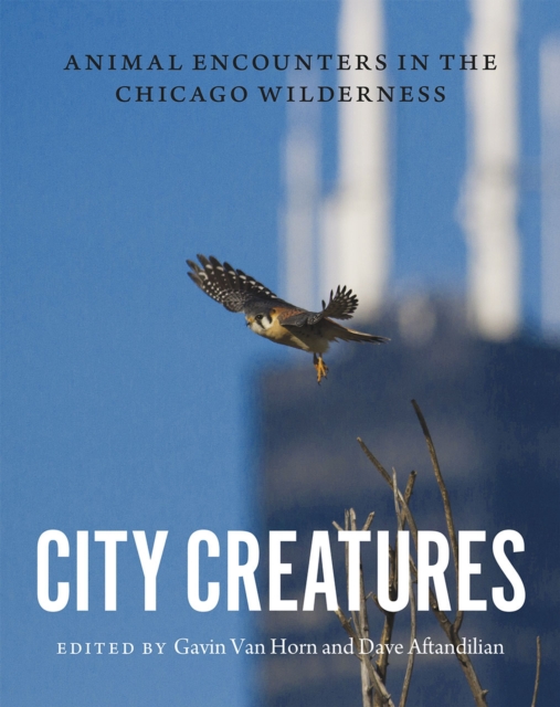 City Creatures : Animal Encounters in the Chicago Wilderness, Hardback Book