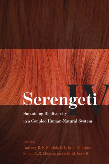 Serengeti IV : Sustaining Biodiversity in a Coupled Human-Natural System, Paperback / softback Book
