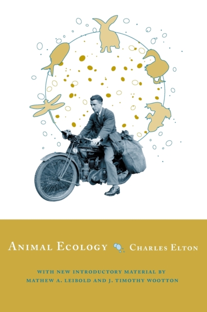 Animal Ecology, Paperback / softback Book