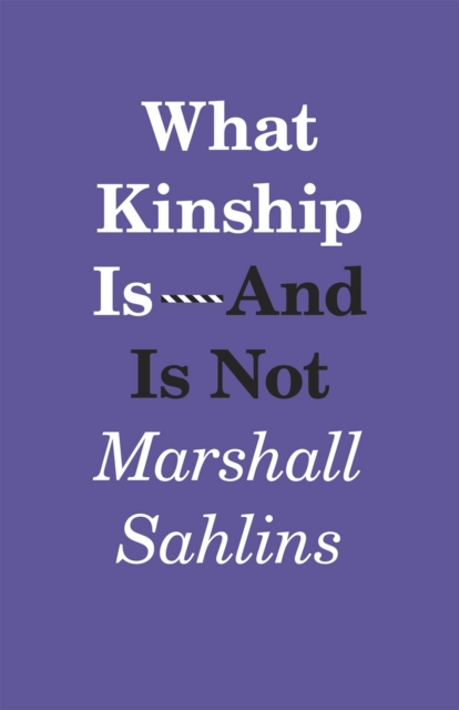 What Kinship Is-And Is Not, Paperback / softback Book