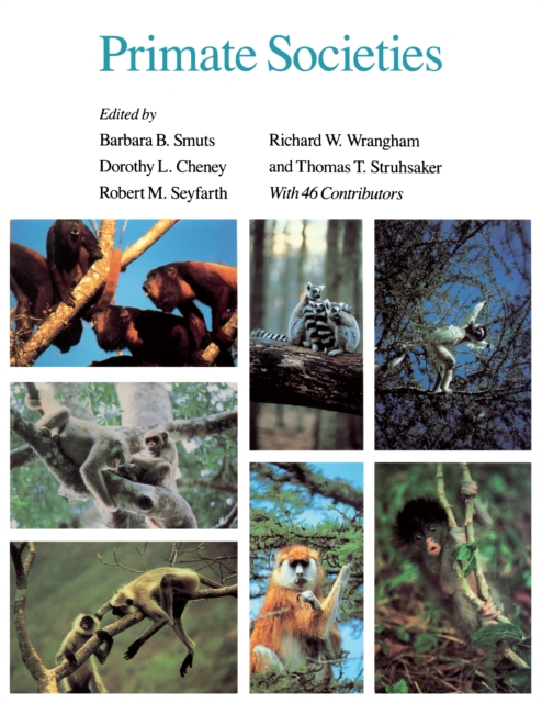 Primate Societies, EPUB eBook