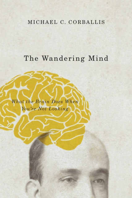 The Wandering Mind : What the Brain Does When You're Not Looking, Hardback Book