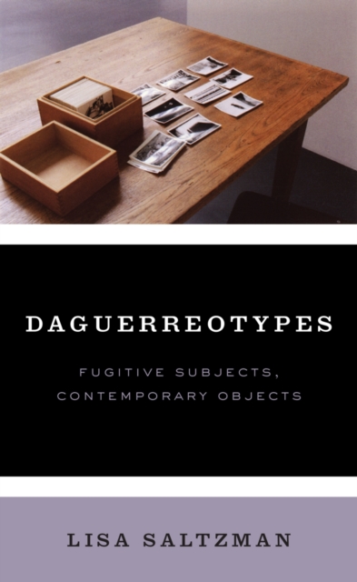 Daguerreotypes : Fugitive Subjects, Contemporary Objects, EPUB eBook
