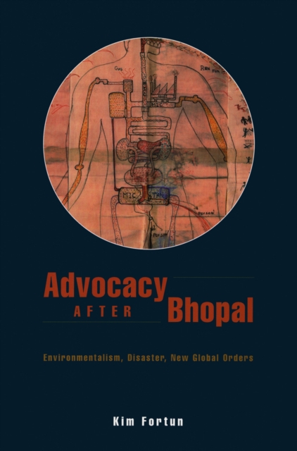 Advocacy after Bhopal : Environmentalism, Disaster, New Global Orders, PDF eBook