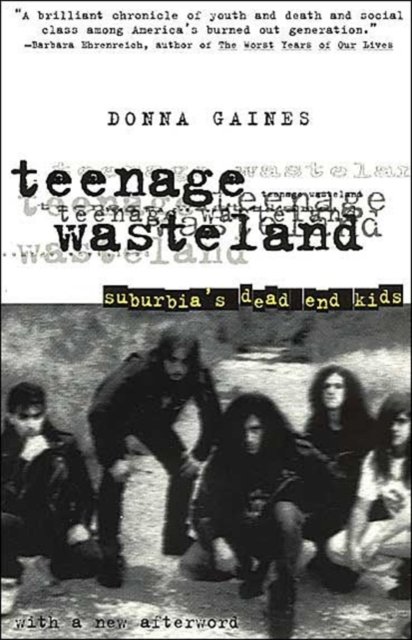 Teenage Wasteland : Suburbia's Dead End Kids, Paperback / softback Book