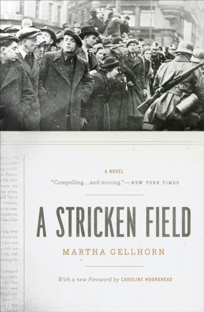 A Stricken Field : A Novel, EPUB eBook
