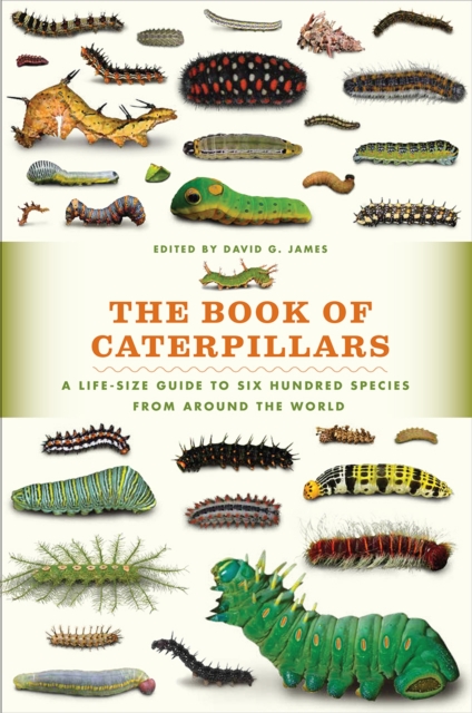The Book of Caterpillars : A Life-Size Guide to Six Hundred Species from Around the World, Hardback Book