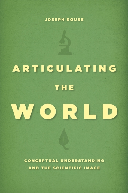 Articulating the World : Conceptual Understanding and the Scientific Image, Paperback / softback Book