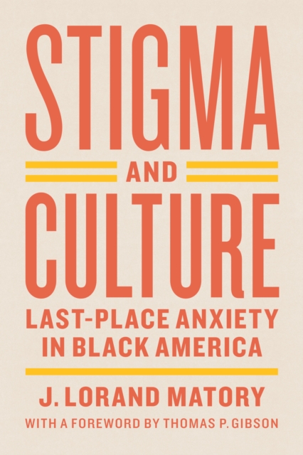 Stigma and Culture : Last-Place Anxiety in Black America, EPUB eBook