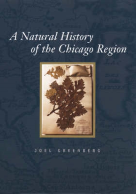 A Natural History of the Chicago Region, Paperback / softback Book