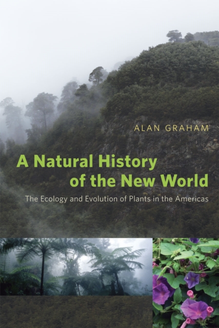 A Natural History of the New World : The Ecology and Evolution of Plants in the Americas, Hardback Book