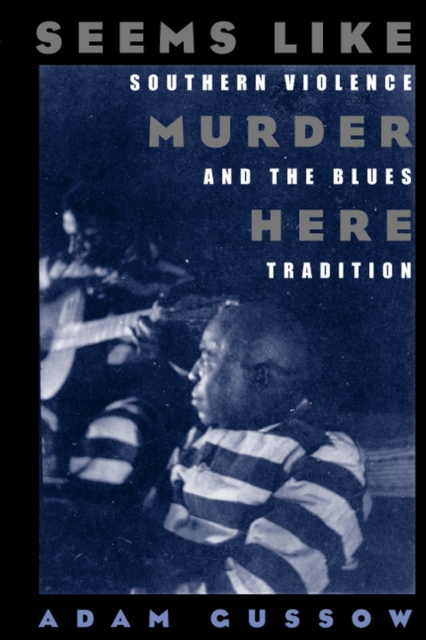 Seems Like Murder Here : Southern Violence and the Blues Tradition, Paperback / softback Book