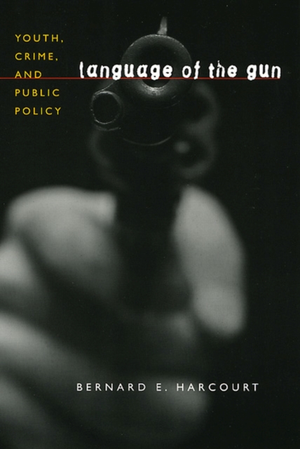 Language of the Gun : Youth, Crime, and Public Policy, Paperback / softback Book
