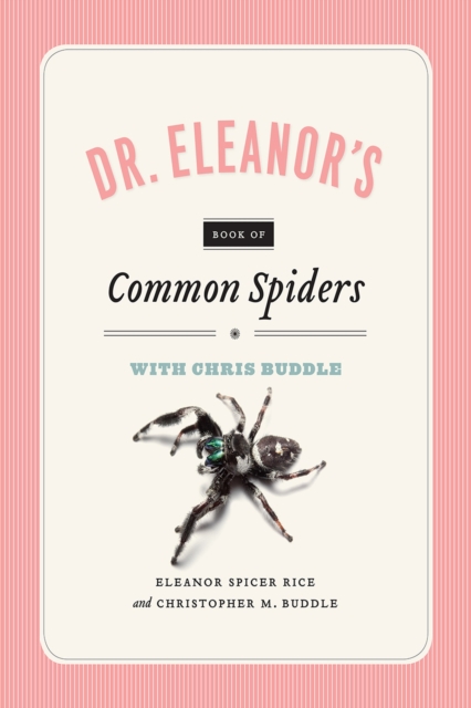 Dr. Eleanor`s Book of Common Spiders, Paperback / softback Book