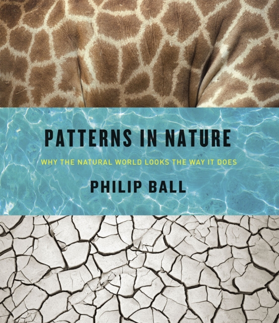 Patterns in Nature : Why the Natural World Looks the Way it Does, Hardback Book