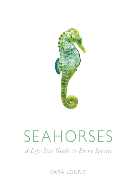 Seahorses : A Life-Size Guide to Every Species, Hardback Book