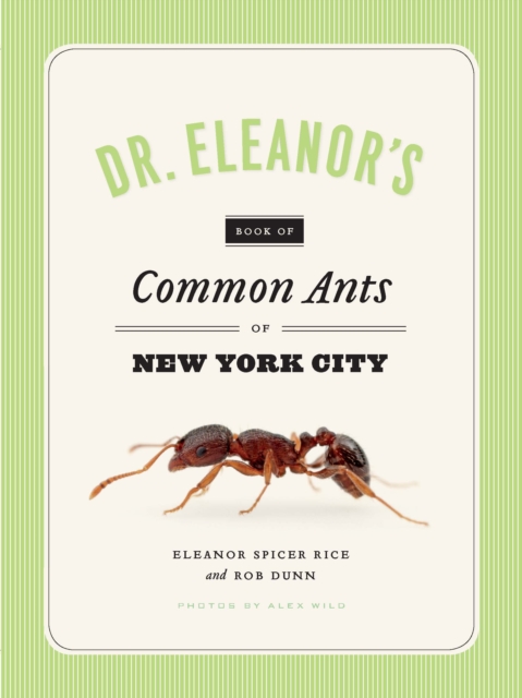Dr. Eleanor's Book of Common Ants of New York City, PDF eBook