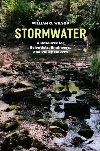Stormwater : A Resource for Scientists, Engineers, and Policy Makers, Paperback / softback Book
