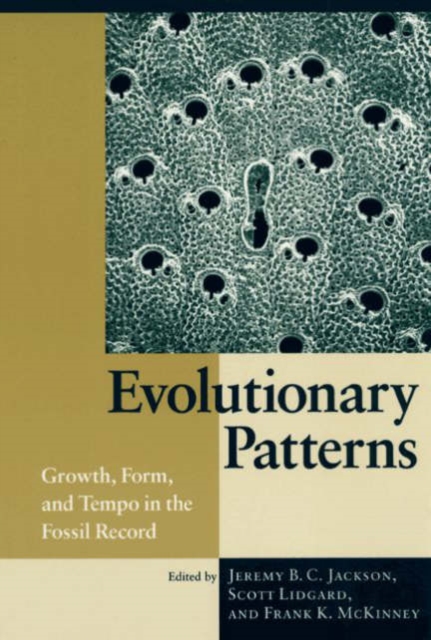 Evolutionary Patterns : Growth, Form, and Tempo in the Fossil Record, Hardback Book